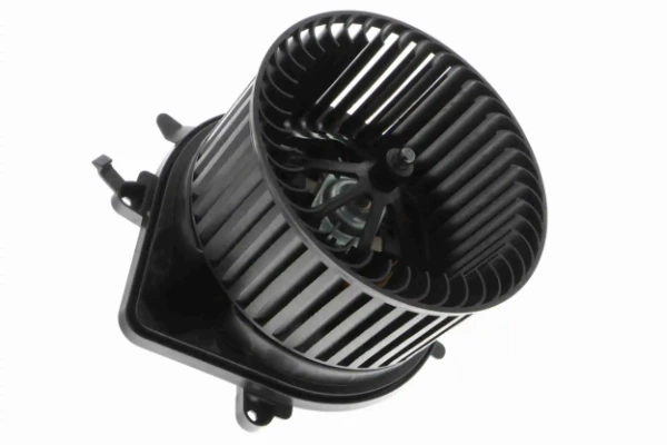 V20031153 Vemo