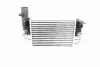 Radiador de intercooler Citroen Jumper 244