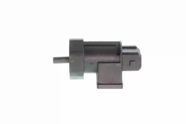 V52720142 Vemo