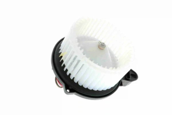 V15031920 Vemo