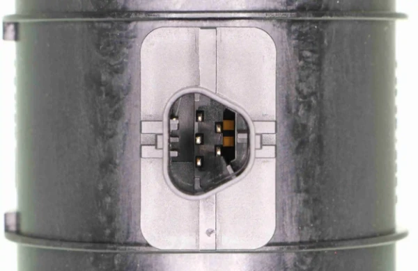 V40720475 Vemo