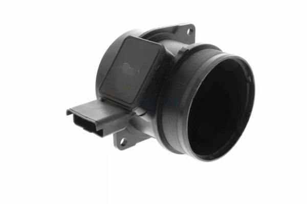 V22720004 Vemo