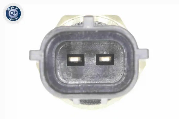 V37720113 Vemo