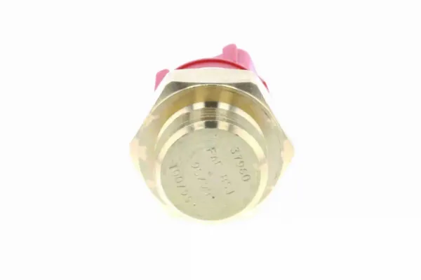 V25991720 Vemo
