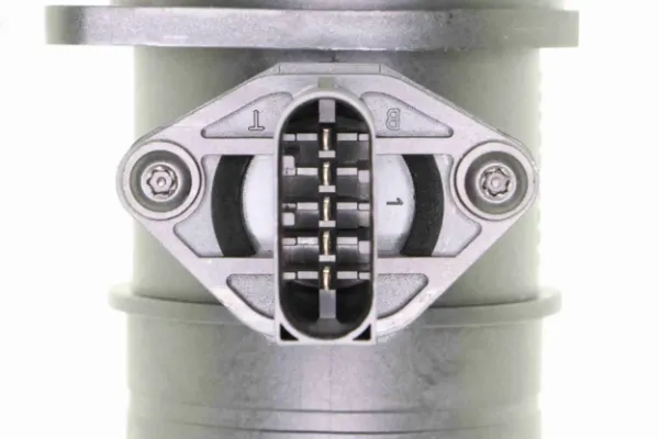 V20720007 Vemo