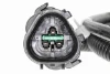 V52720106 Vemo