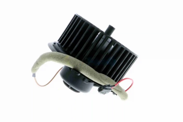 V15031896 Vemo