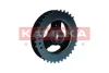 RW051 Kamoka