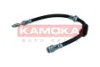 1170224 Kamoka