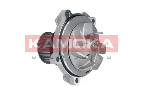 Bomba de água (bomba) de esfriamento Chrysler Voyager 3 RG, RS
