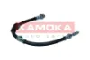 1170224 Kamoka