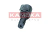 RA041 Kamoka