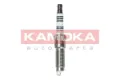 7100023 Kamoka