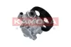 PP062 Kamoka