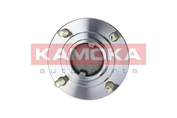 Cubo traseiro 5500090 Kamoka
