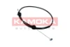 116049 Kamoka