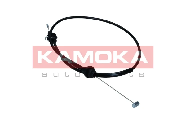 116049 Kamoka