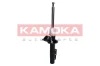 2000223 Kamoka
