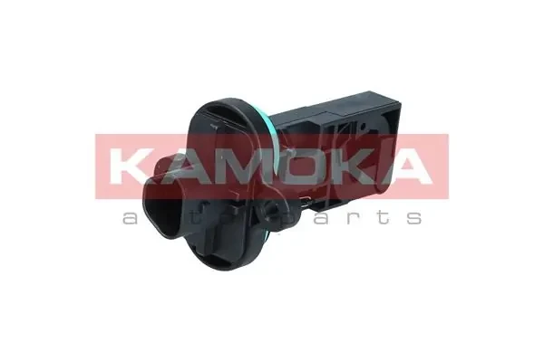 18021 Kamoka