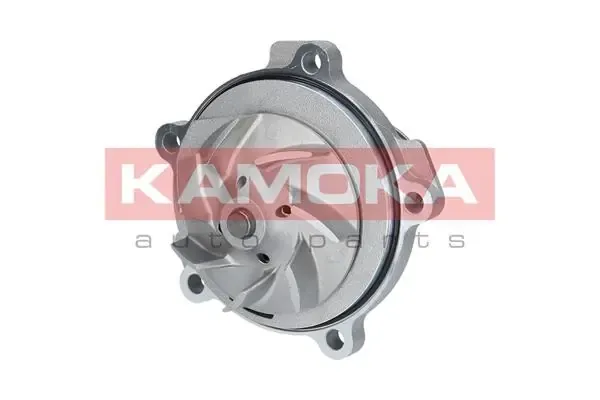 Bomba de água (bomba) de esfriamento Chrysler Voyager 3 RG, RS