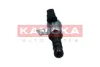 RA019 Kamoka