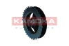 RW051 Kamoka