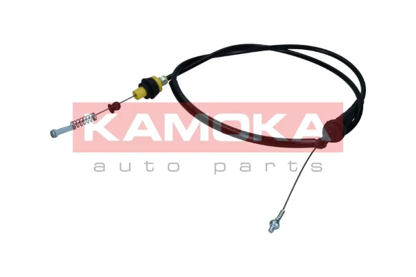 116031 Kamoka