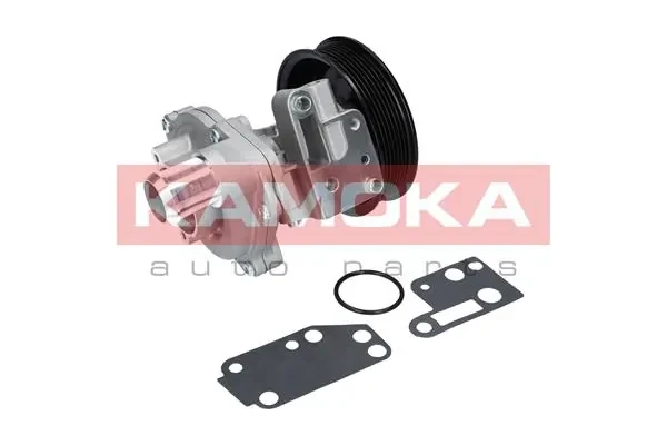 T0142 Kamoka