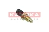 4080051 Kamoka
