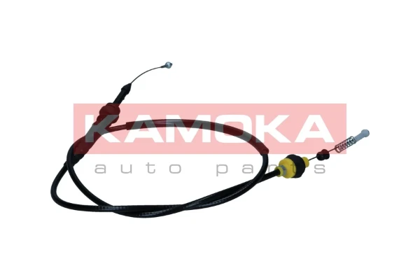 116031 Kamoka