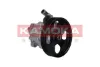 PP062 Kamoka