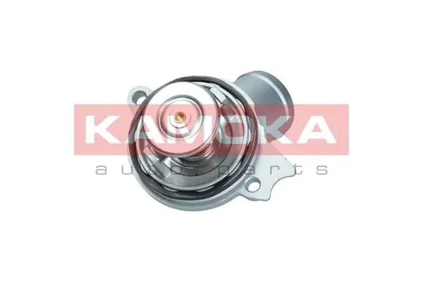 7710119 Kamoka