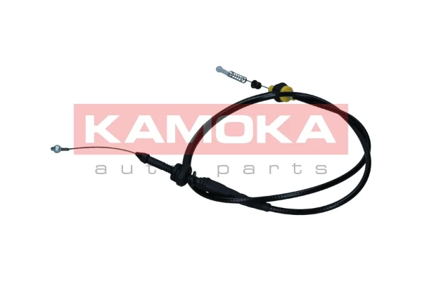 116031 Kamoka