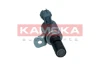 RA014 Kamoka