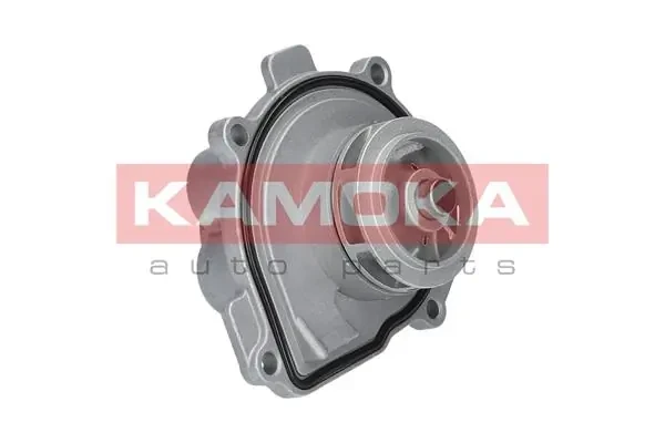 T0009 Kamoka