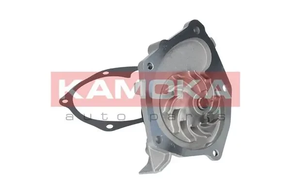 T0205 Kamoka