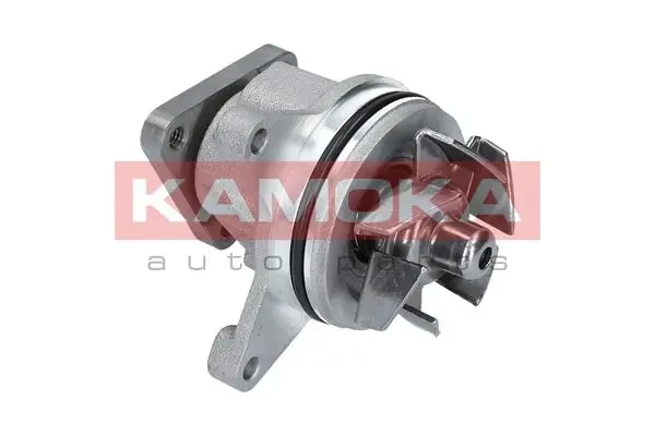 T0136 Kamoka