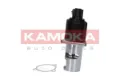 19015 Kamoka