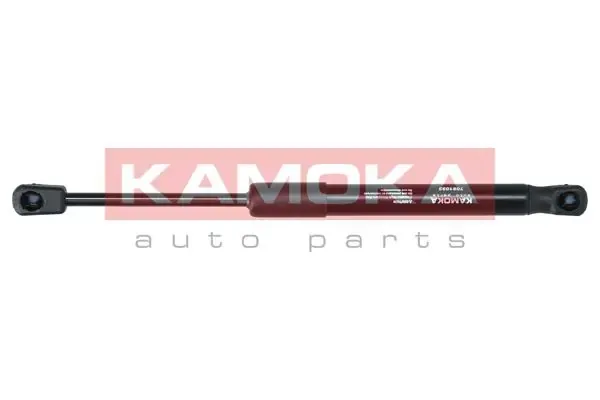 Compre Amortecedor da capota BMW X3  F25