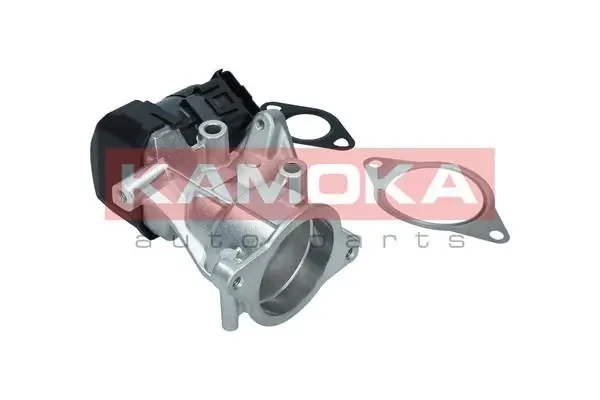 19046 Kamoka