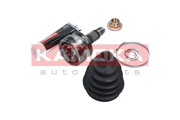 6028 Kamoka