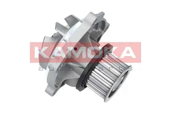 Bomba de água (bomba) de esfriamento Chrysler Voyager 3 RG, RS