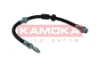 1170224 Kamoka