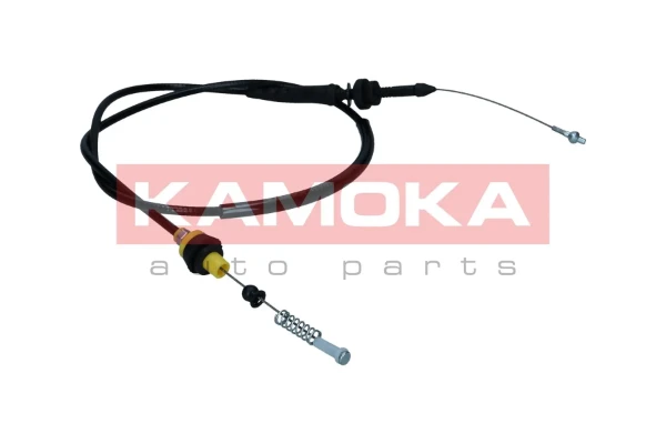 116031 Kamoka