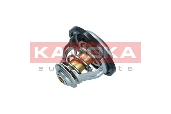 7710065 Kamoka