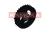 RW051 Kamoka