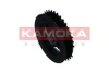 RW051 Kamoka