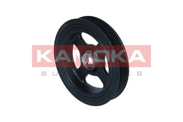 RW100 Kamoka
