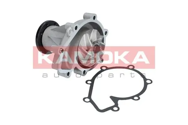 Bomba de água (bomba) de esfriamento T0181 Kamoka