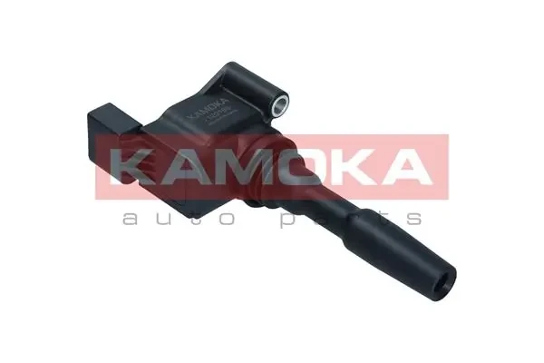 7120165 Kamoka